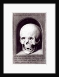 Skull by Hans Memling