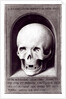 Skull by Hans Memling