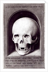 Skull by Hans Memling