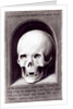 Skull by Hans Memling