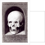 Skull by Hans Memling