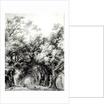 The shady alley, c.1773-74 by Jean-Honore Fragonard