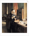 Louis Pasteur in his Laboratory, 1885 by Albert Gustaf Aristides Edelfelt