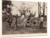 Cart pulled by two oxen at Mandalay, Burma, c.1885 by English Photographer
