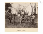 Cart pulled by two oxen at Mandalay, Burma, c.1885 by English Photographer
