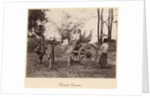 Cart pulled by two oxen at Mandalay, Burma, c.1885 by English Photographer