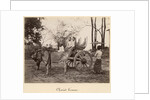 Cart pulled by two oxen at Mandalay, Burma, c.1885 by English Photographer