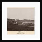 Boats carrying rice on the River Thanlwin, Mupun district, Moulmein, Burma, late 19th century by Philip Adolphe Klier