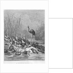 The frogs asking for a king by Gustave Dore