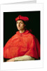 Portrait of a Cardinal by Raphael