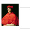 Portrait of a Cardinal by Raphael
