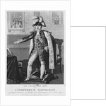 The 'Champ de Mai' or Emperor Napoleon I swearing fidelity to the Constitutions on 1st June 1815 by French School