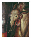 Paumgartner Altarpiece: detail of the Left Hand Wing, depicting the head of the dragon defeated by St. George, c.1500 by Albrecht Dürer or Duerer