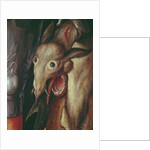 Paumgartner Altarpiece: detail of the Left Hand Wing, depicting the head of the dragon defeated by St. George, c.1500 by Albrecht Dürer or Duerer