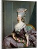 Marie-Therese de Savoie-Carignan Princess of Lamballe by Antoine Francois Callet