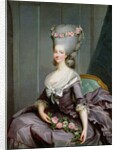 Marie-Therese de Savoie-Carignan Princess of Lamballe by Antoine Francois Callet