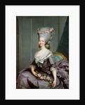 Marie-Therese de Savoie-Carignan Princess of Lamballe by Antoine Francois Callet
