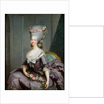 Marie-Therese de Savoie-Carignan Princess of Lamballe by Antoine Francois Callet