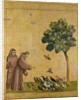 St. Francis of Assisi preaching to the birds, 1299 by Giotto (c.1266-1337)