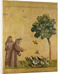 St. Francis of Assisi preaching to the birds, 1299 by Giotto (c.1266-1337)