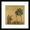 St. Francis of Assisi preaching to the birds, 1299 by Giotto (c.1266-1337)
