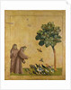 St. Francis of Assisi preaching to the birds, 1299 by Giotto (c.1266-1337)