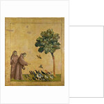 St. Francis of Assisi preaching to the birds, 1299 by Giotto (c.1266-1337)