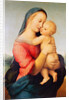 The 'Tempi' Madonna, 1508 by Raphael (1483-1520)