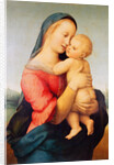 The 'Tempi' Madonna, 1508 by Raphael (1483-1520)