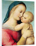 Detail of the 'Tempi' Madonna, 1508 by Raphael