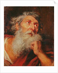Head of an Apostle by Anthony van Dyck