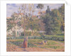 Vegetable Garden at the Hermitage, Pontoise, 1879 by Camille Pissarro