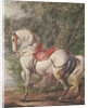 A White Horse by Philips Wouwermans or Wouwerman