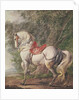 A White Horse by Philips Wouwermans or Wouwerman