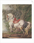 A White Horse by Philips Wouwermans or Wouwerman