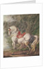 A White Horse by Philips Wouwermans or Wouwerman