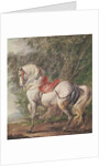 A White Horse by Philips Wouwermans or Wouwerman