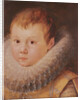 Portrait of a child by Flemish School