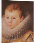 Portrait of a child by Flemish School