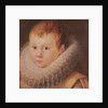 Portrait of a child by Flemish School