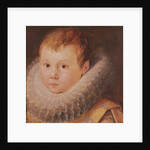 Portrait of a child by Flemish School