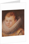 Portrait of a child by Flemish School