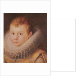 Portrait of a child by Flemish School