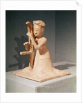 Seated musician playing a harp by Sui Dynasty Chinese School