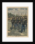 Elite troops of French army, the colonial infantry by French School
