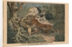 Marquis of Barthelemy wounded by a tiger by French School
