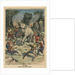 Catching a white elephant in Siam by French School