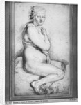 Young nude woman, seated, turned to the right by Peter Paul Rubens