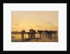 African Elephants, 1867 by Charles Emile de Tournemine