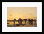 African Elephants, 1867 by Charles Emile de Tournemine